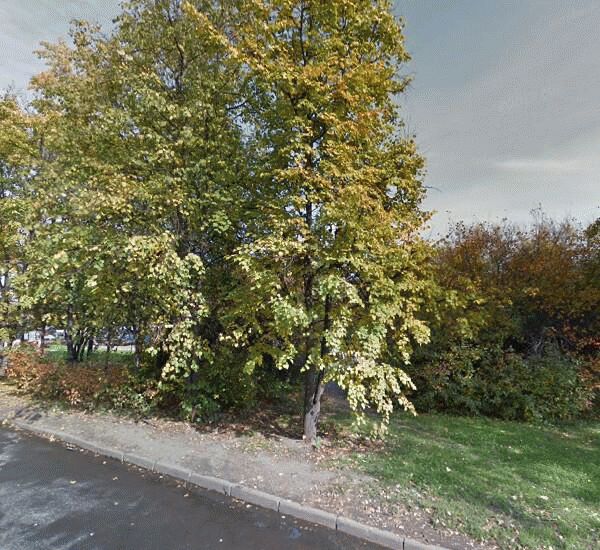 Банкомат Райффайзенбанка по адресу ул. Дубнинская, д. 12, кор. 3, СМ «Билла» 