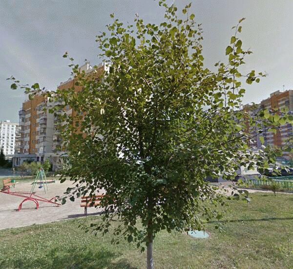 Банкомат Сбербанка России по адресу бул. Жулебинский,  28,  корп. 1