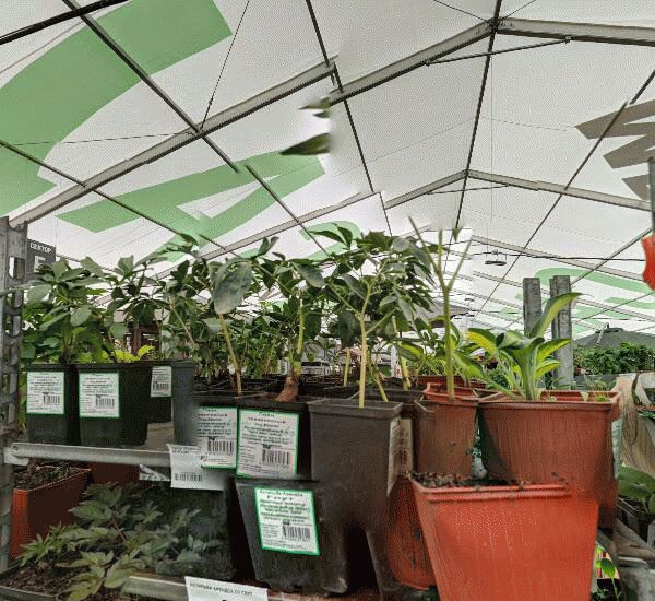 Банкомат Сбербанка России по адресу пос. Московский,  Киевское шоссе,  24-й км,  вл1с1