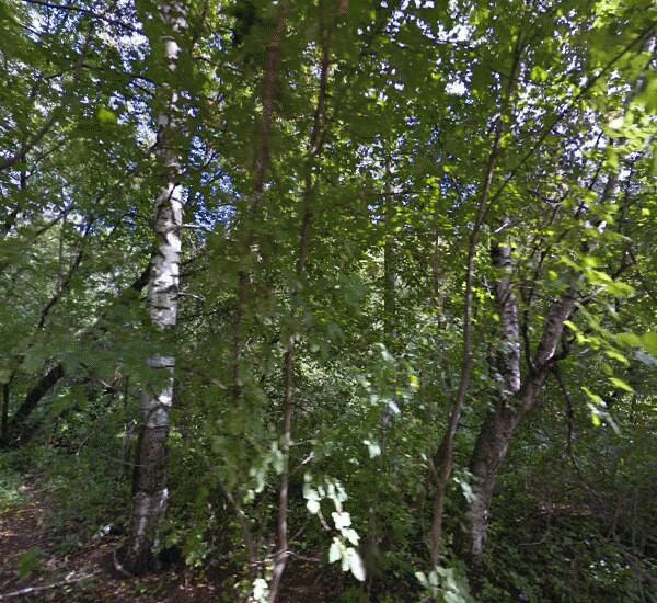 Банкомат Сбербанка России по адресу ул. Академика Павлова, д. 50, магазин «Пятерочка»