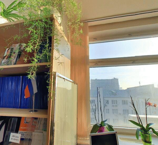 Отделение Совкомбана по адресу ул. Щепкина,  д. 28