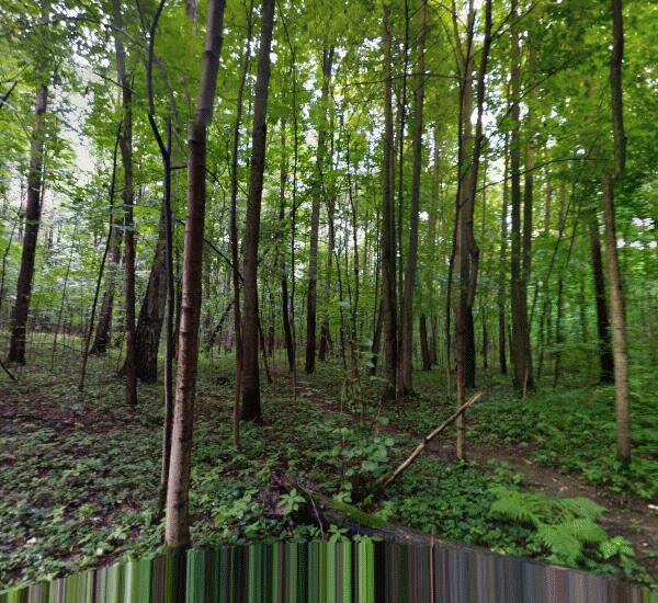 Отделение Интерпрогрессбанка по адресу ш. Измайловское,  д. 71,  корп. 4 Г-Д