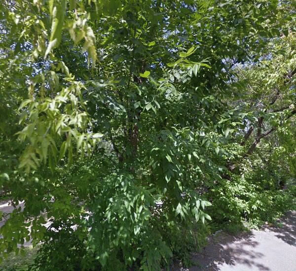 Отделение Московского Нефтехимического Банка по адресу г. Москва,  Капотня,  2-й квартал,  д. 20а