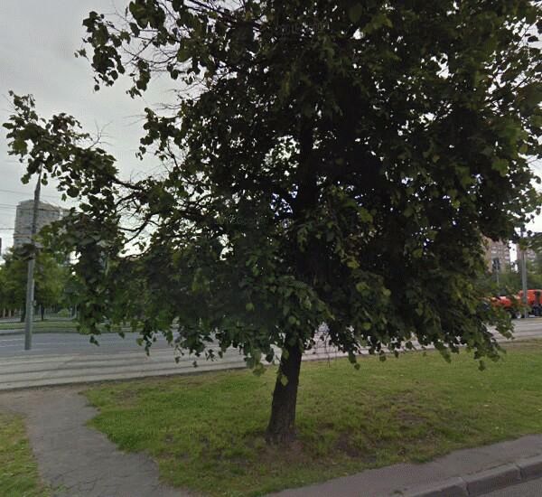 Отделение Почта Банка по адресу ул. Габричевского,  д. 10,  корп. 2