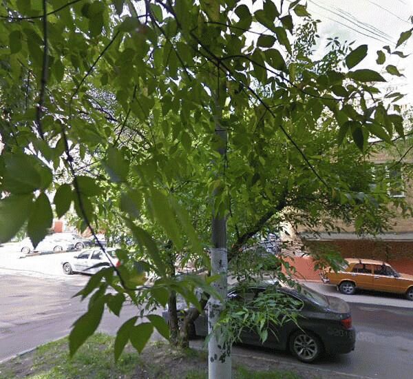 Отделение Почта Банка по адресу ул. 5-я Соколиной Горы,  д. 25,  корп. 3