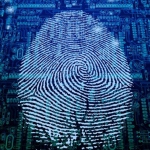 ЦБ обратил пристальное внимание на киберпреступность