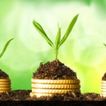 В каком рубле нуждается российский малый бизнес?