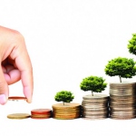 Во что вложиться - о самых надежных валютах