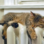 Падение нацвалюты сможет побить годовой рекорд в связи с отопительным сезоном