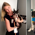 Сотрудники банка «Хоум Кредит» встретились с домашними питомцами