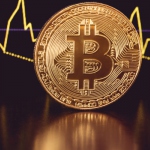 В столице судом завершено банкротство, в котором биткоины были признаны имуществом