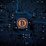 Участники блокчейн-рынка попросили статус самозанятых для майнеров криптовалют