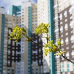 Греф: 2019 год станет непростым для строительной отрасли