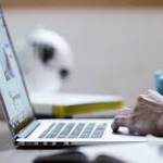 «Яндекс» готовит в своих сервисах приложение для самозанятых