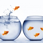 Сбербанк хочет передать рынку сокращенных работников