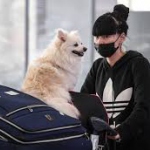 АТОР: туроператоры сказали, что первая неделя продаж туров с кешбэком феерическая