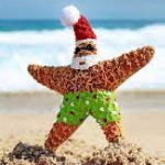 АТОР: стоимость новогодних туров за границу выросла за год до 60%