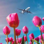 Цены на поездки в майские праздники с начала апреля могут вырасти на 30—​50%