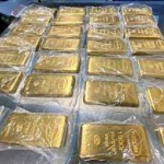 Во Внуково задержали курьеров, пытавшихся вывезти в Дубай 225 кг золота